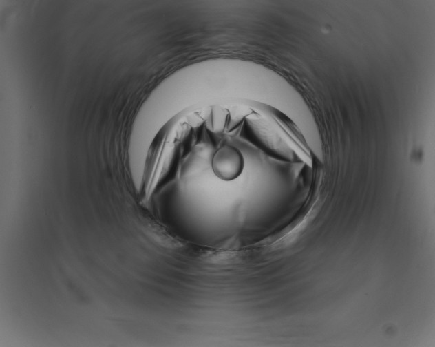 X0000094350186200711241923