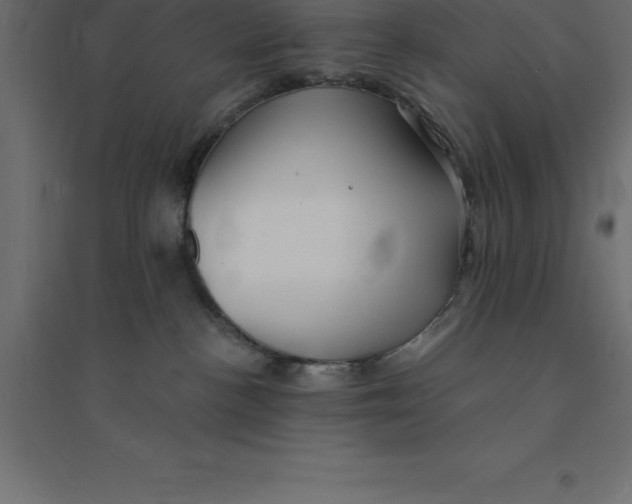 X0000094350188200711241923