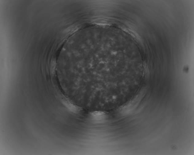 X0000094350189200711241923