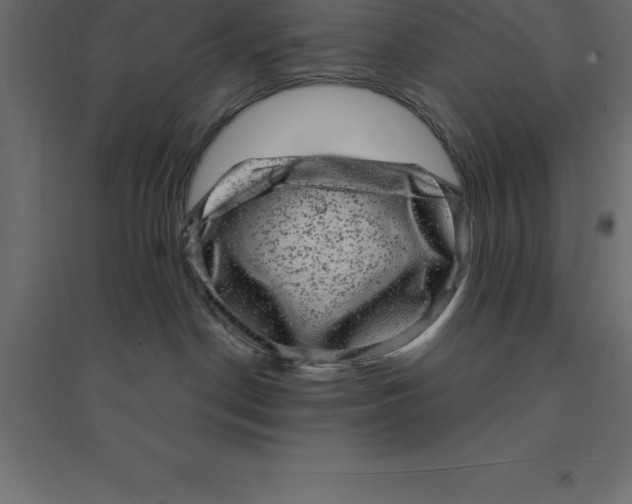 X0000094350190200711241923