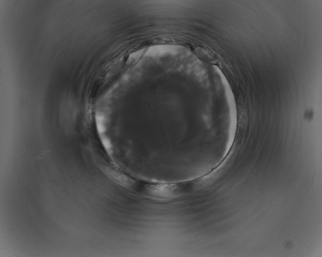 X0000094350191200711241923