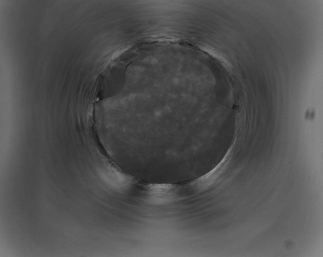 X0000094350192200711241923