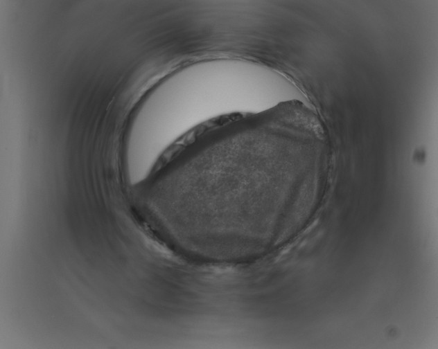 X0000094350194200711241922