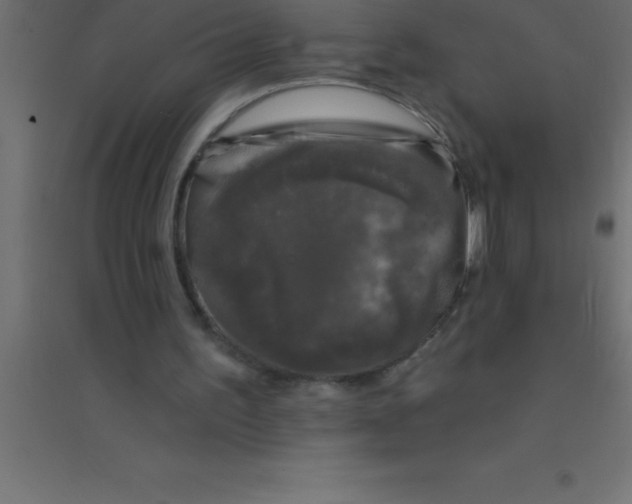 X0000094350195200711241922