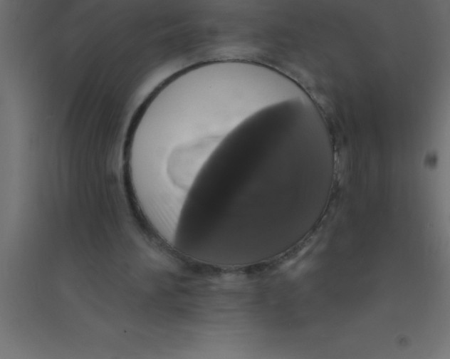 X0000094350196200711241922