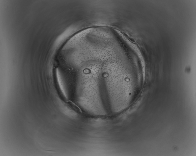 X0000094350197200711241922