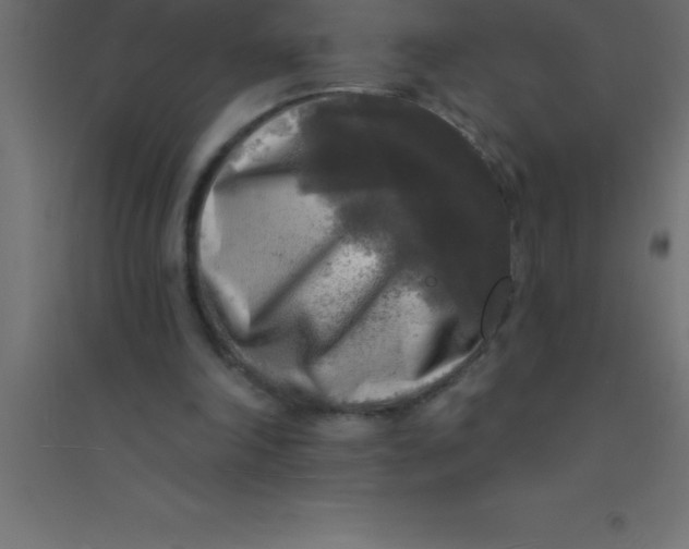 X0000094350198200711241922