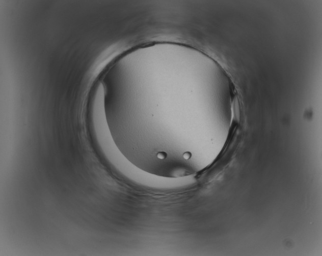 X0000094350199200711241922