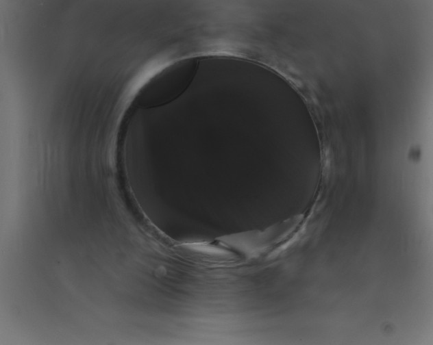 X0000094350200200711241922