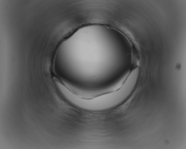 X0000094350201200711241922