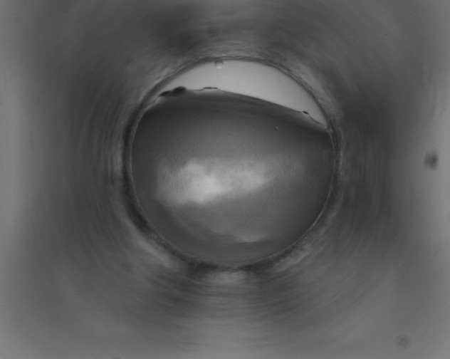 X0000094350202200711241922