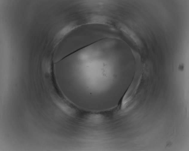 X0000094350203200711241922