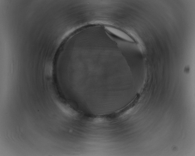 X0000094350204200711241922