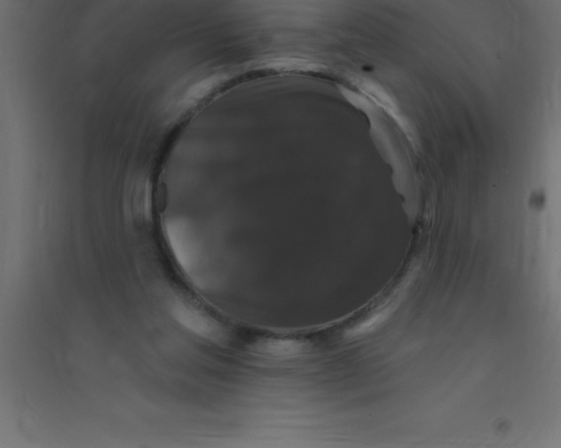 X0000094350205200711241922