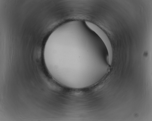 X0000094350206200711241922