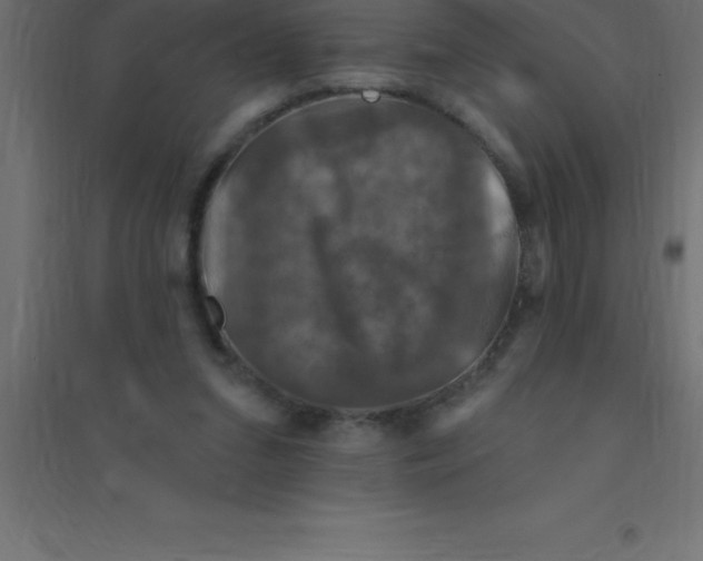 X0000094350207200711241922