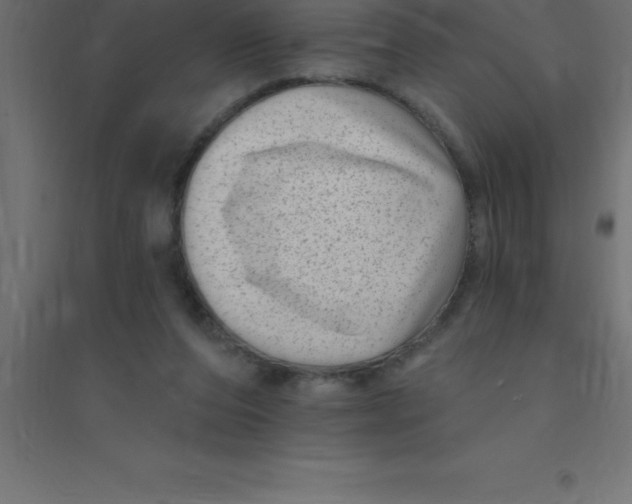 X0000094350208200711241922