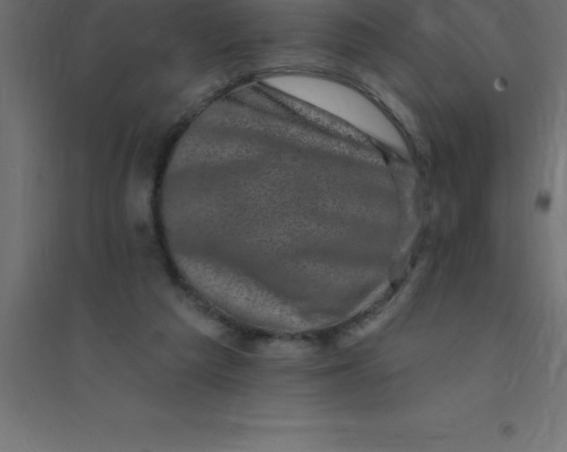 X0000094350209200711241922