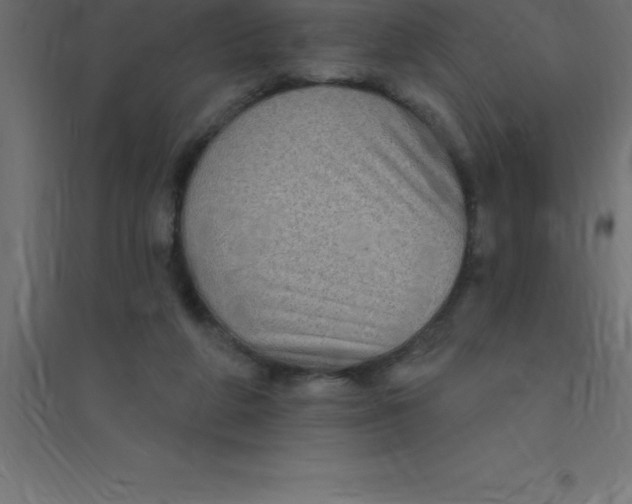 X0000094350210200711241922