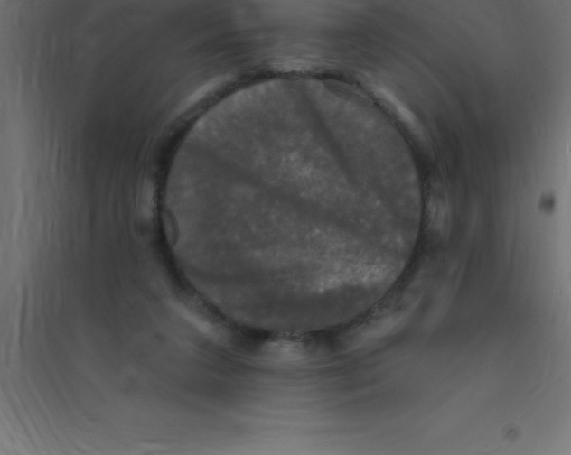 X0000094350211200711241922