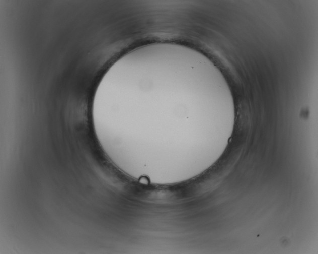 X0000094350212200711241922