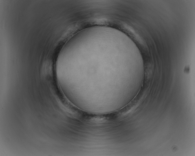 X0000094350213200711241922
