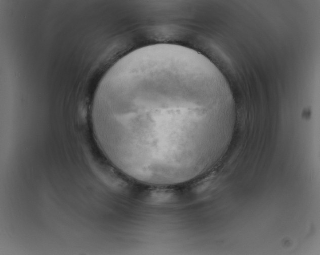 X0000094350214200711241922