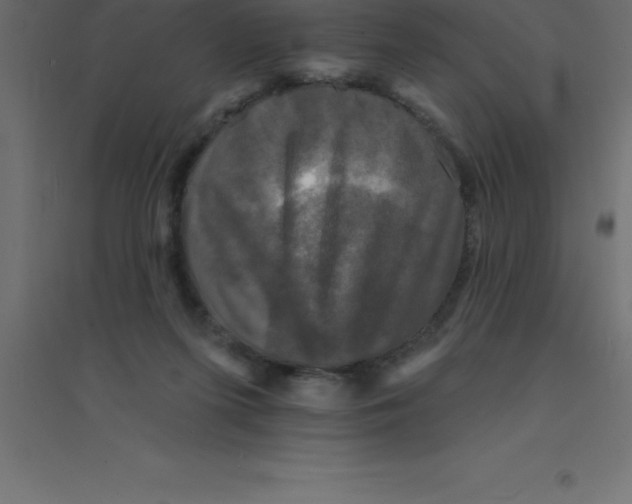 X0000094350215200711241922