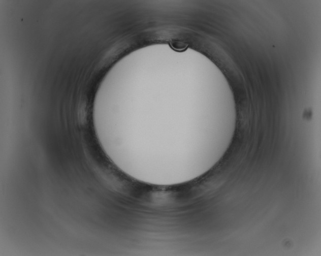 X0000094350216200711241922