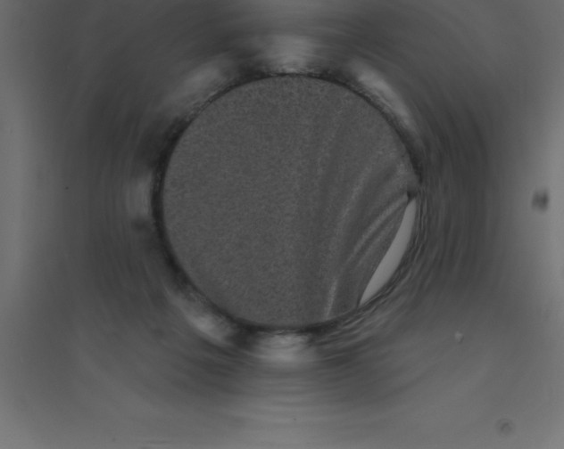 X0000094350217200711241922