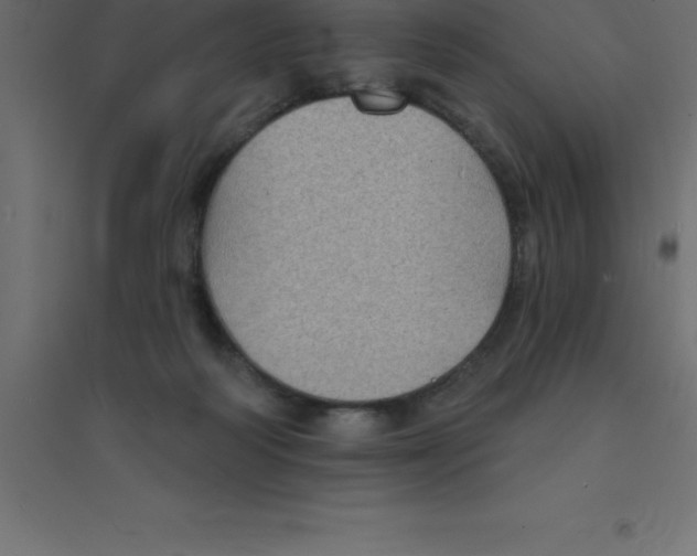 X0000094350218200711241922