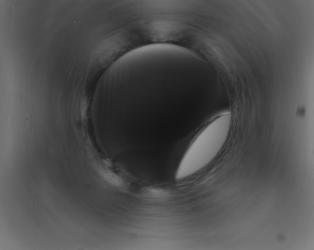 X0000094350219200711241922