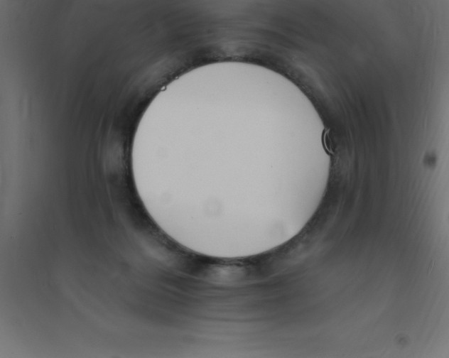 X0000094350220200711241922