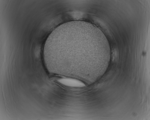 X0000094350221200711241922