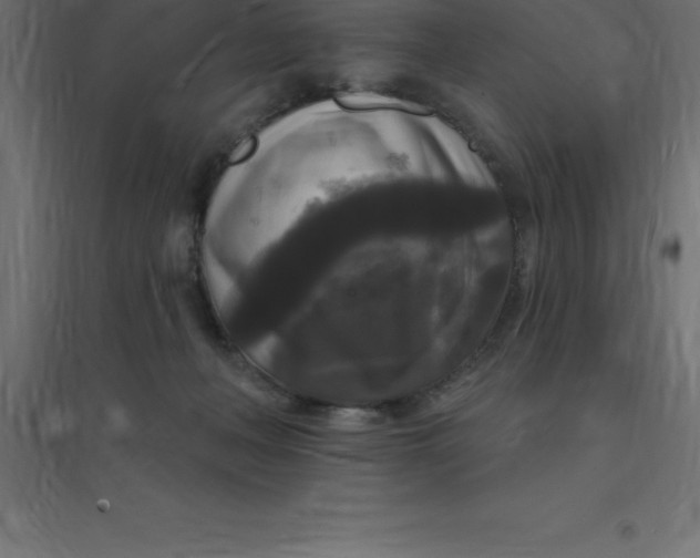 X0000094350222200711241922