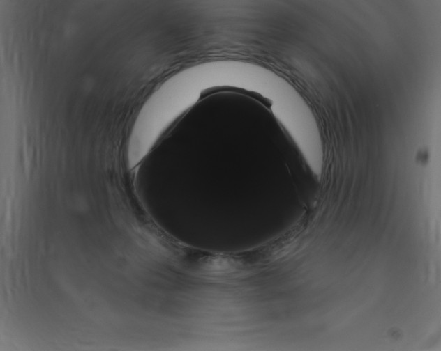 X0000094350223200711241922