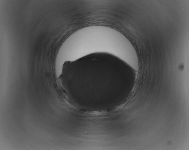 X0000094350224200711241922