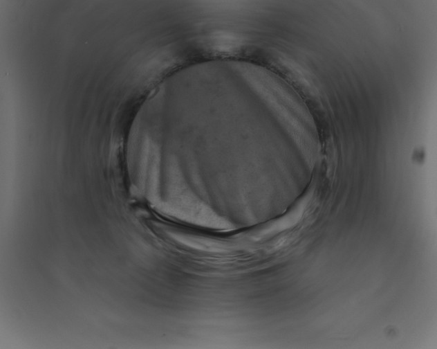 X0000094350225200711241922