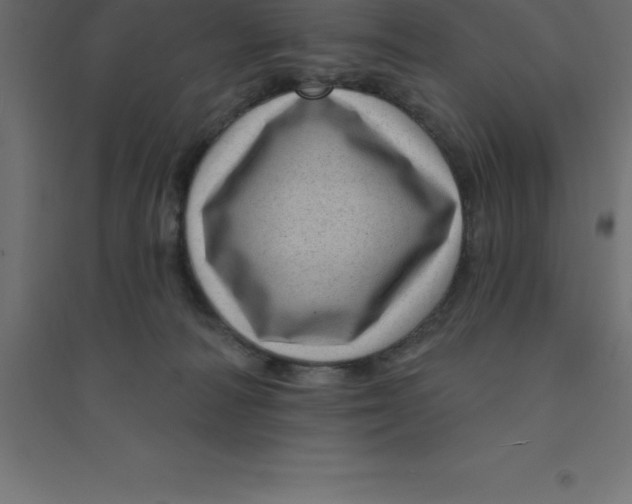 X0000094350226200711241922