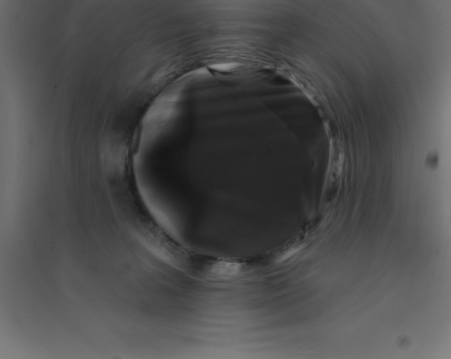 X0000094350227200711241922