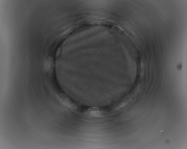 X0000094350228200711241922