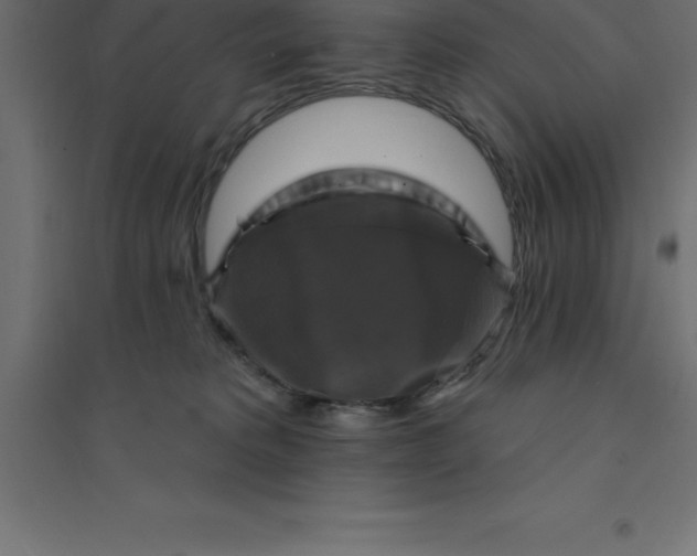X0000094350229200711241922