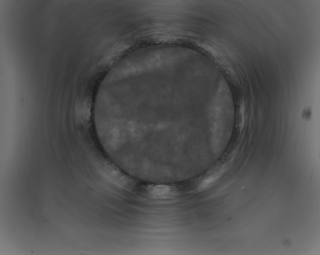 X0000094350230200711241922