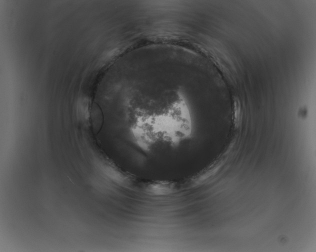 X0000094350232200711241922