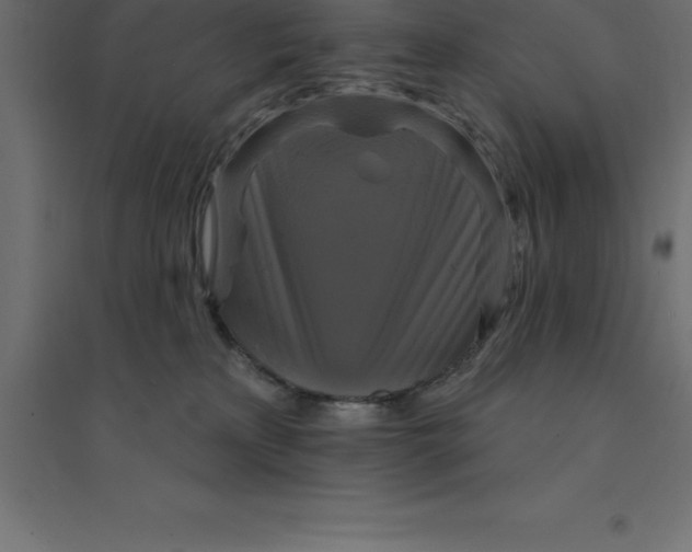 X0000094350233200711241922