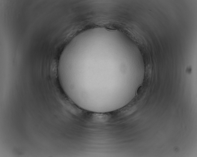 X0000094350234200711241922