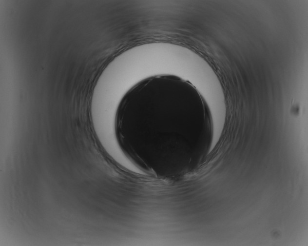 X0000094350235200711241922