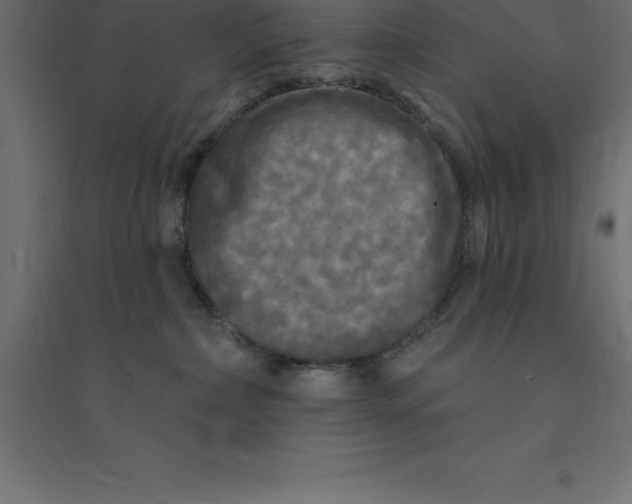 X0000094350236200711241922