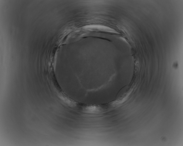 X0000094350237200711241922