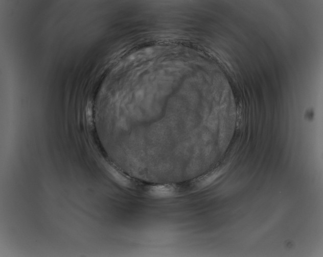 X0000094350238200711241922